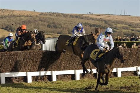 tips for cheltenham friday